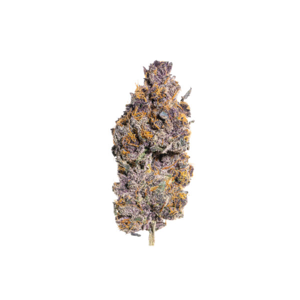 Tropicana Cherry Indoor Hemp